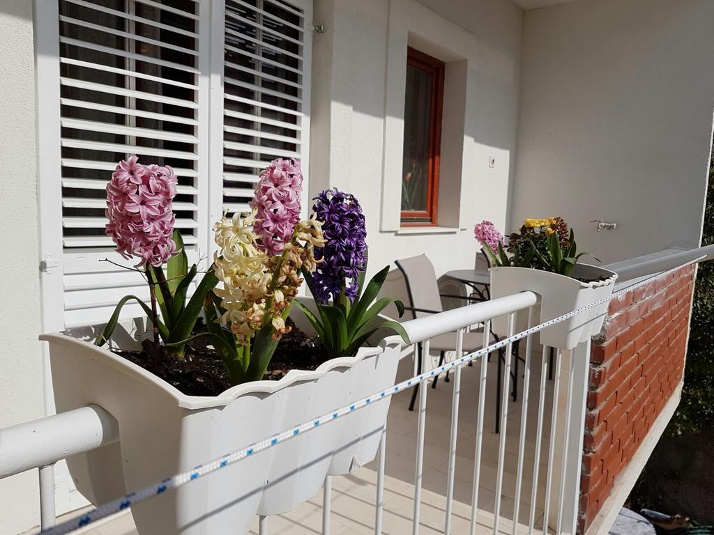 Apartment Vice Mali Split Eksteriør billede